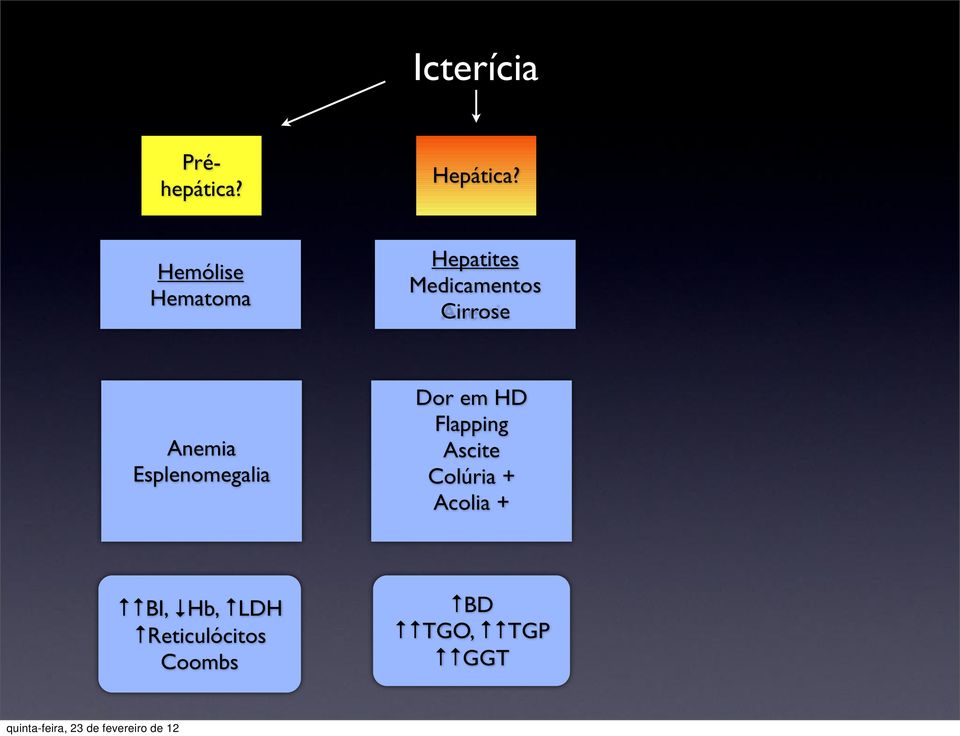 Anemia Esplenomegalia Dor em HD Flapping Ascite