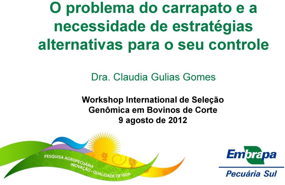 Claudia Gulias Gomes Workshop International de