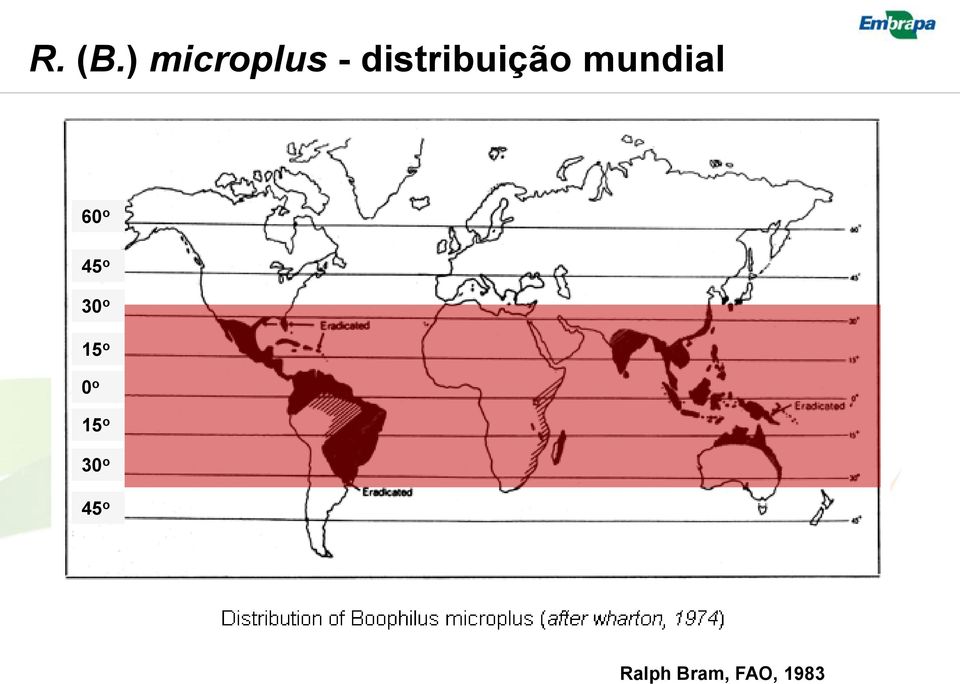 distribuição mundial 60 o