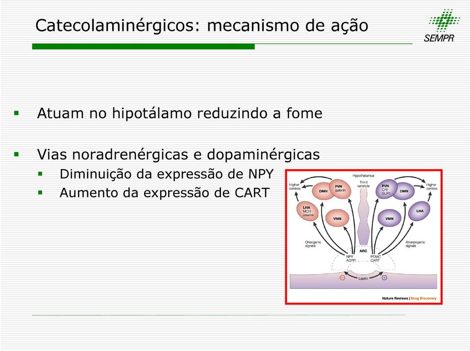 noradrenérgicas e dopaminérgicas