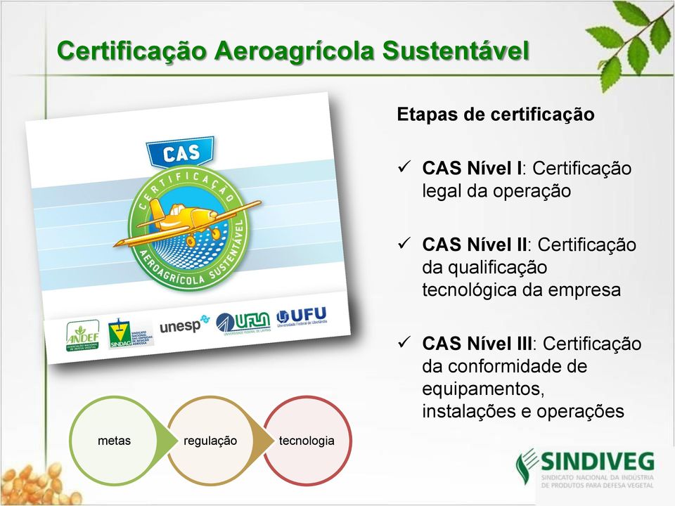 qualificação tecnológica da empresa CAS Nível III: Certificação da