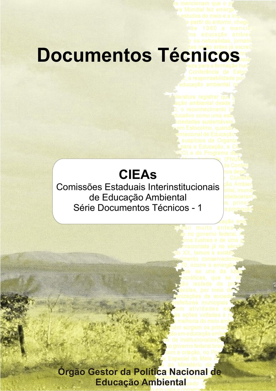 Lembram ainda que os naturalistas, jornalistas, escritores e estadistas muito antes já escreviam sobre a necessidade de proteção dos recursos naturais ou mesmo sobre a importância do contato com a