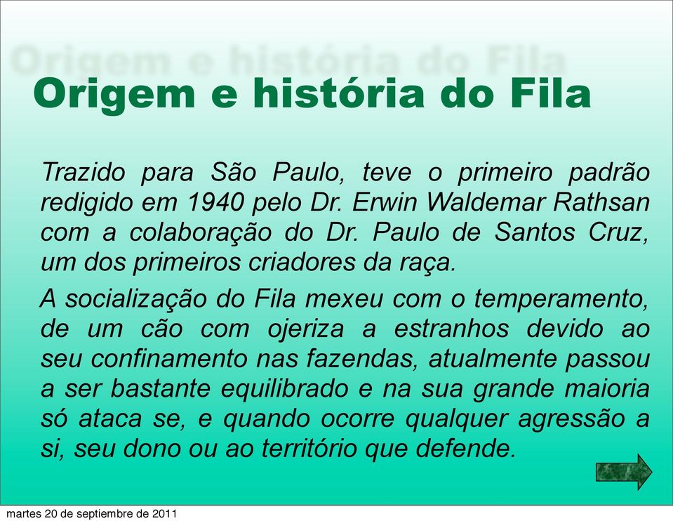 A socialização do Fila mexeu com o temperamento, de um cão com ojeriza a estranhos devido ao seu confinamento nas