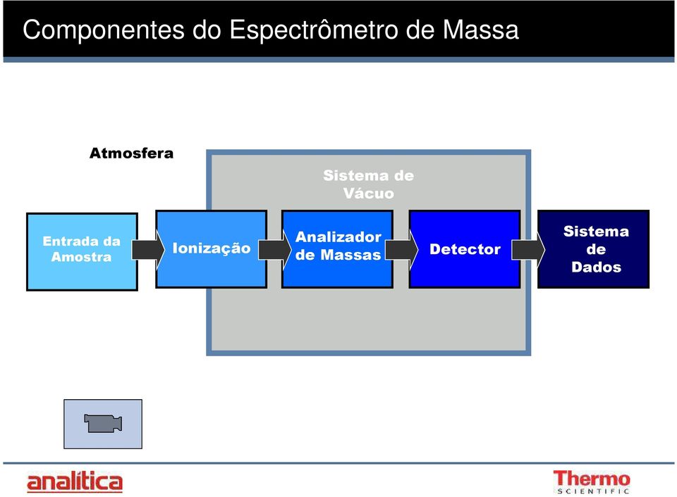 Entrada da Amostra Ionização