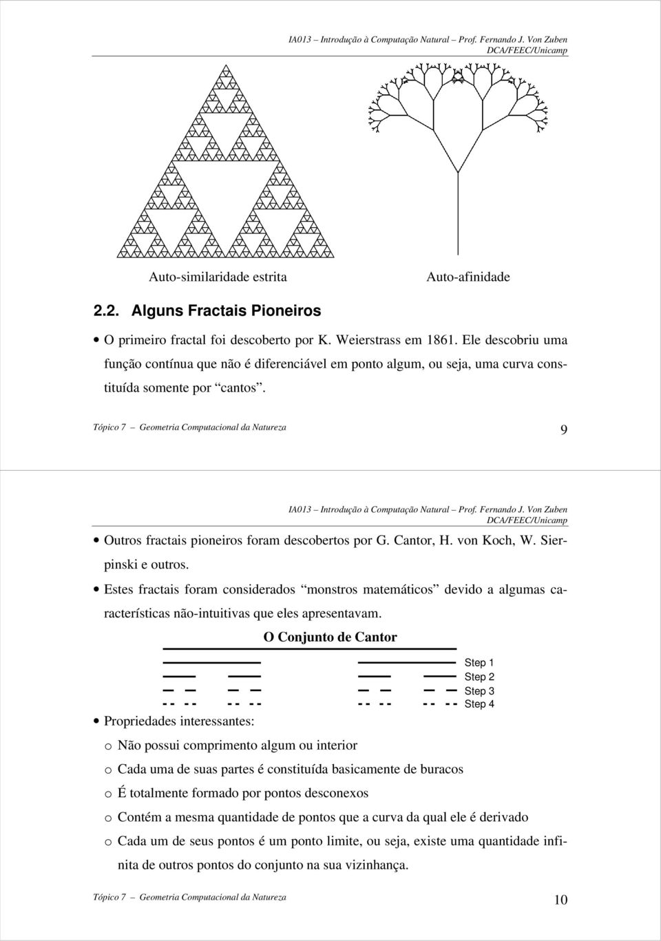 von Koch, W. Sierpinski e outros. Estes fractais foram considerados monstros matemáticos devido a algumas características não-intuitivas que eles apresentavam.