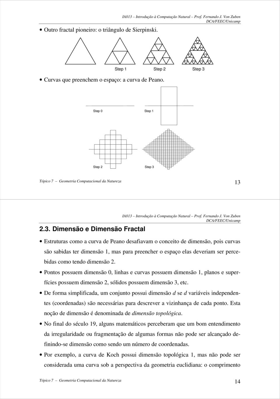 13 2.3. Dimensão e Dimensão Fractal Estruturas como a curva de Peano desafiavam o conceito de dimensão, pois curvas são sabidas ter dimensão 1, mas para preencher o espaço elas deveriam ser