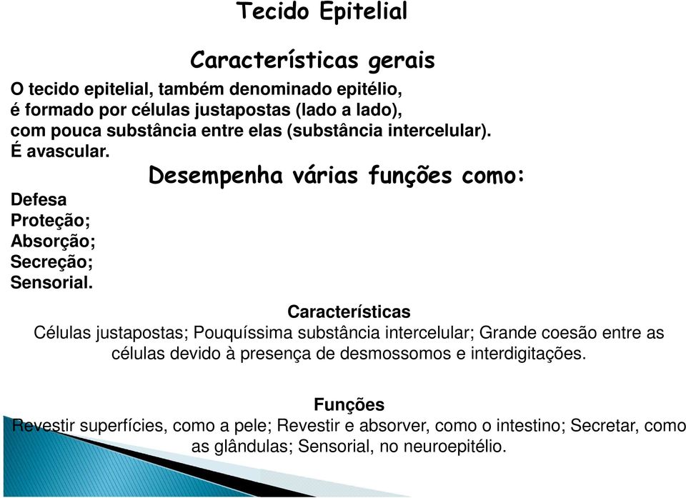 Características Células justapostas; Pouquíssima substância intercelular; Grande coesão entre as células devido à presença de desmossomos e