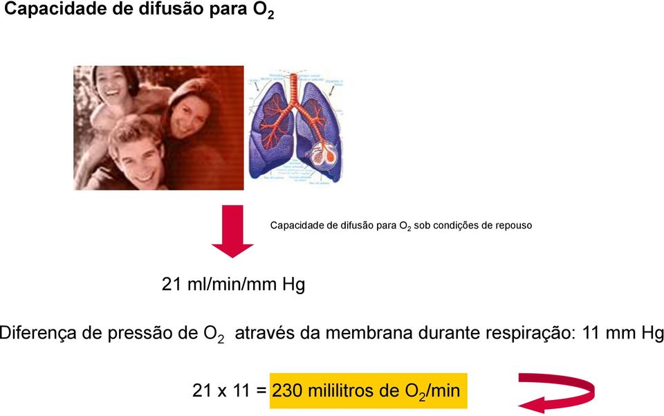 Diferença de pressão de O 2 através da membrana