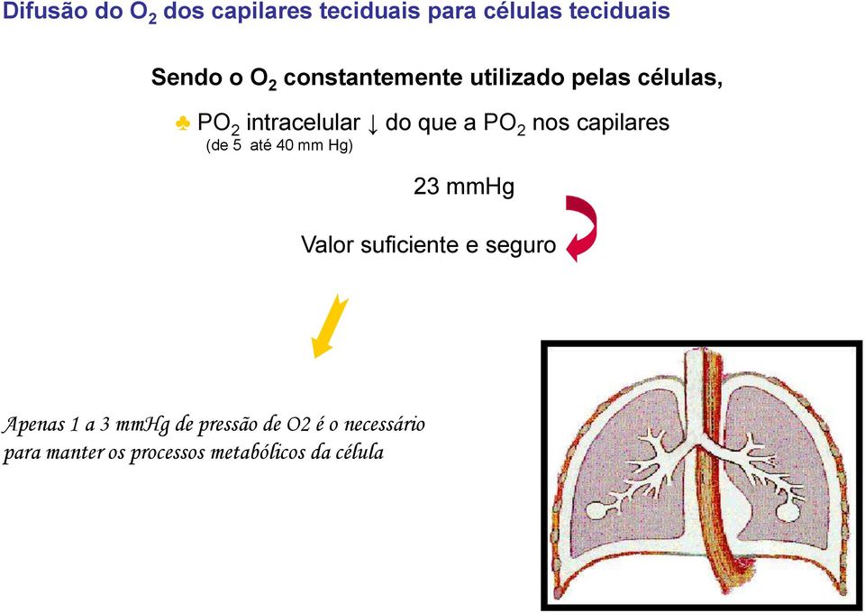 capilares (de 5 até 40 mm Hg) 23 mmhg Valor suficiente e seguro Apenas 1 a 3