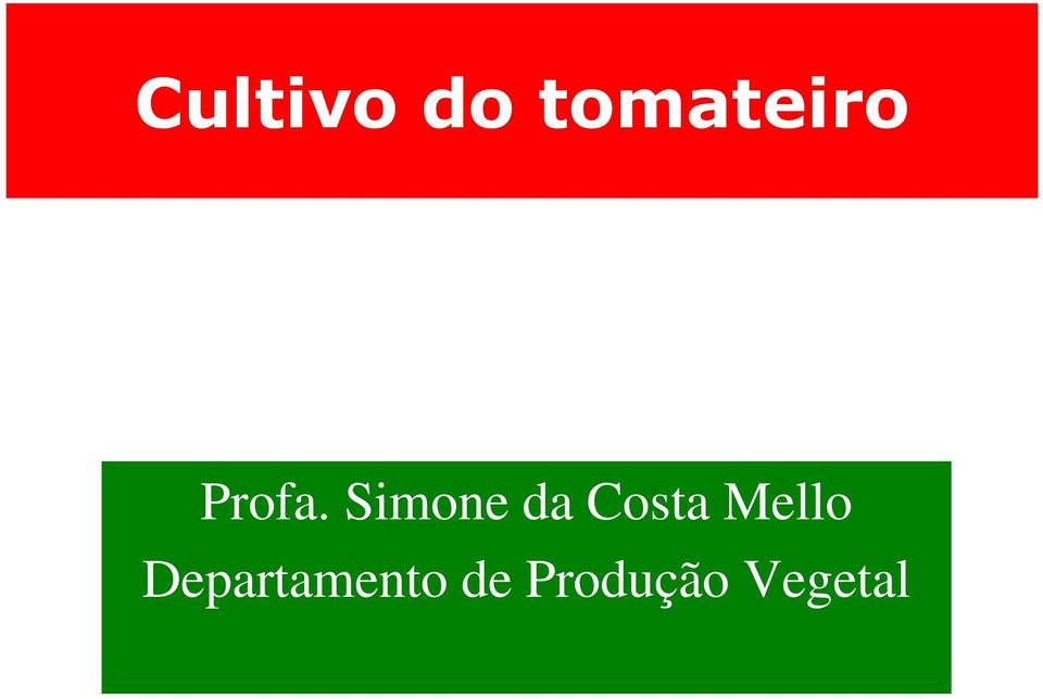 Simone da Costa