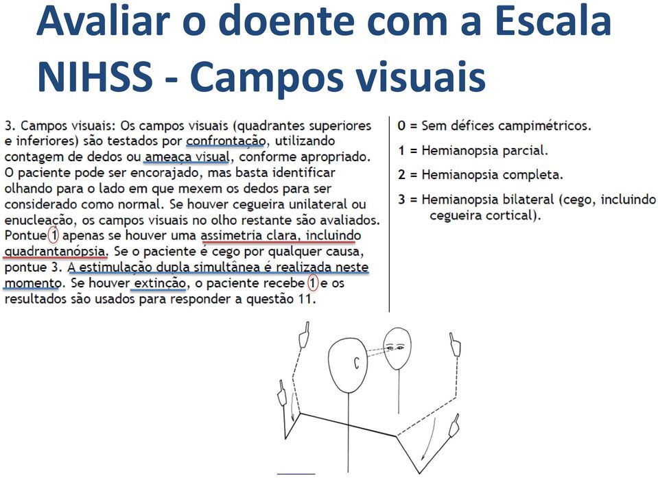 visuais