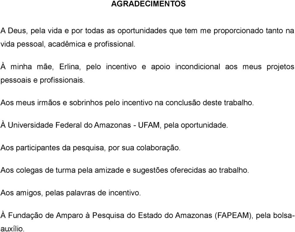 Aos meus irmãos e sobrinhos pelo incentivo na conclusão deste trabalho. À Universidade Federal do Amazonas - UFAM, pela oportunidade.