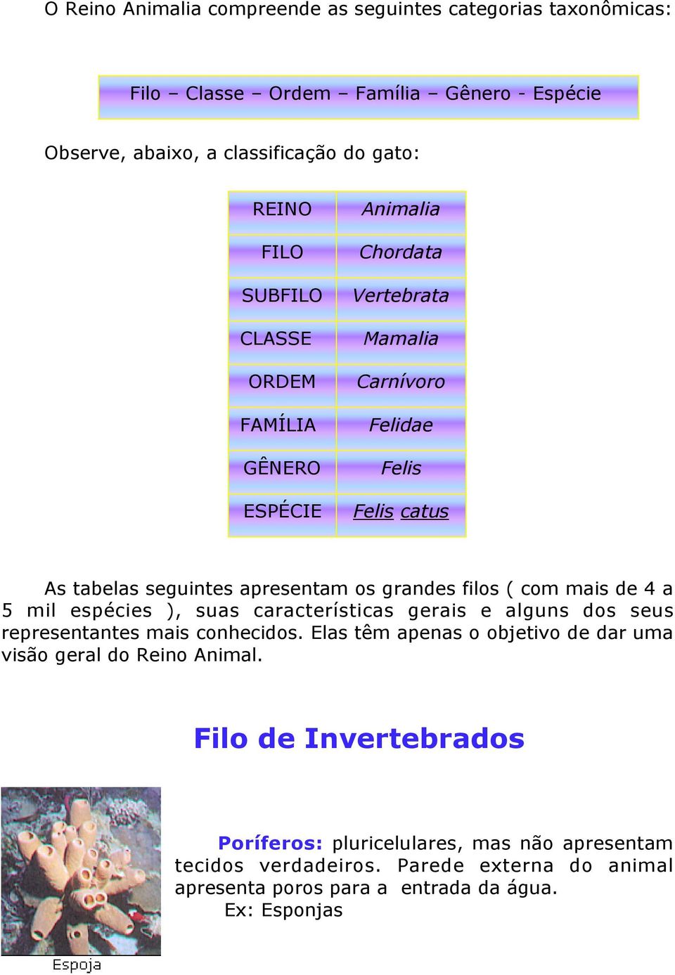 de 4 a 5 mil espécies ), suas características gerais e alguns dos seus representantes mais conhecidos. Elas têm apenas o objetivo de dar uma visão geral do Reino Animal.