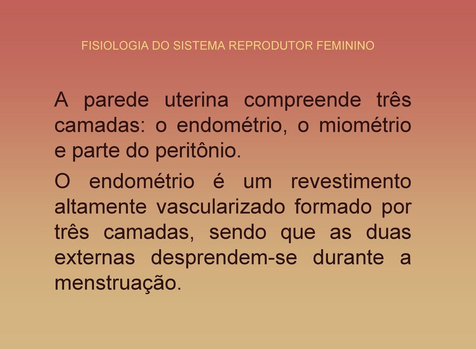 O endométrio é um revestimento altamente vascularizado