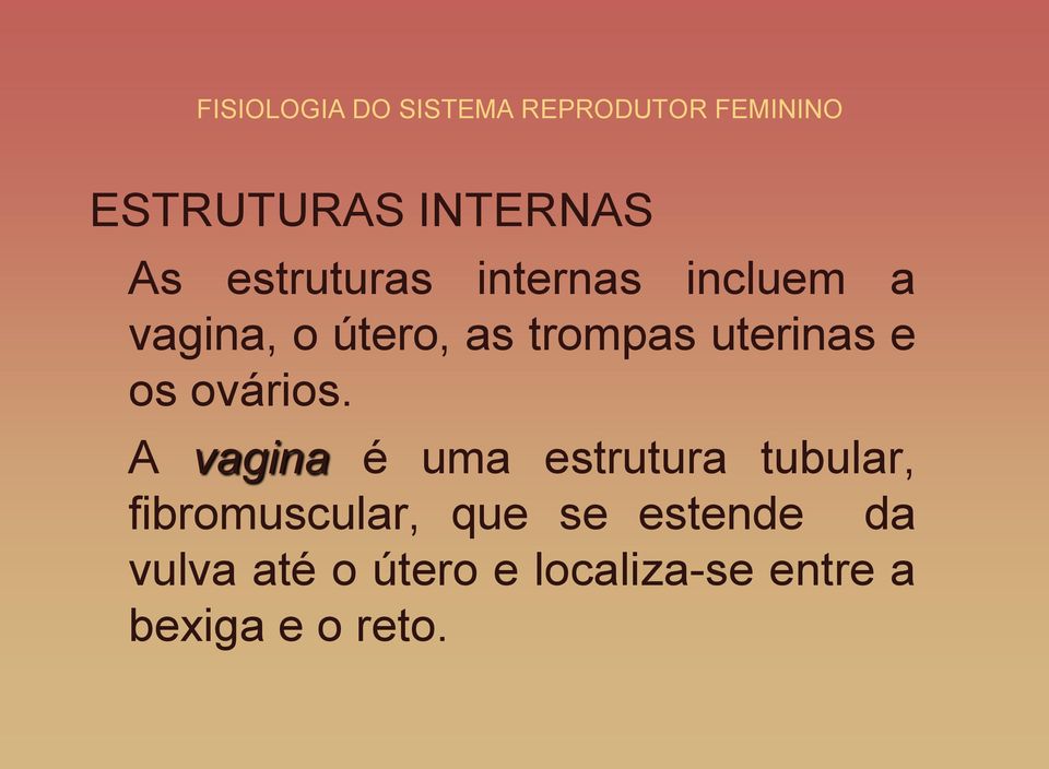 A vagina é uma estrutura tubular, fibromuscular, que se