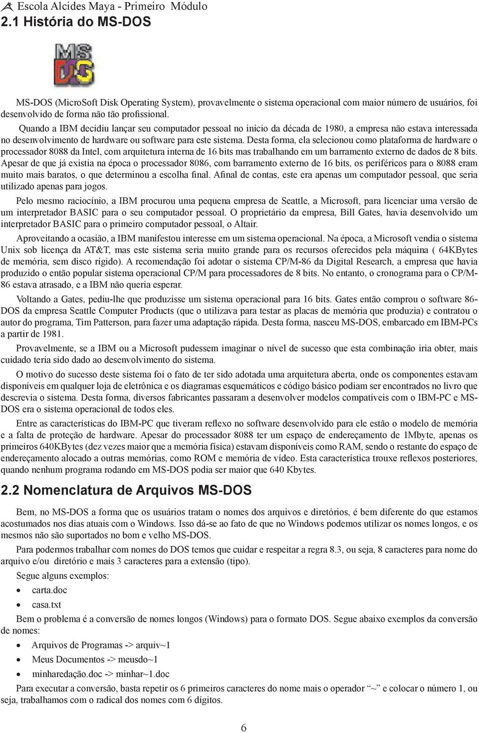 Quando a IBM decidiu lançar seu computador pessoal no início da década de 1980, a empresa não estava interessada no desenvolvimento de hardware ou software para este sistema.