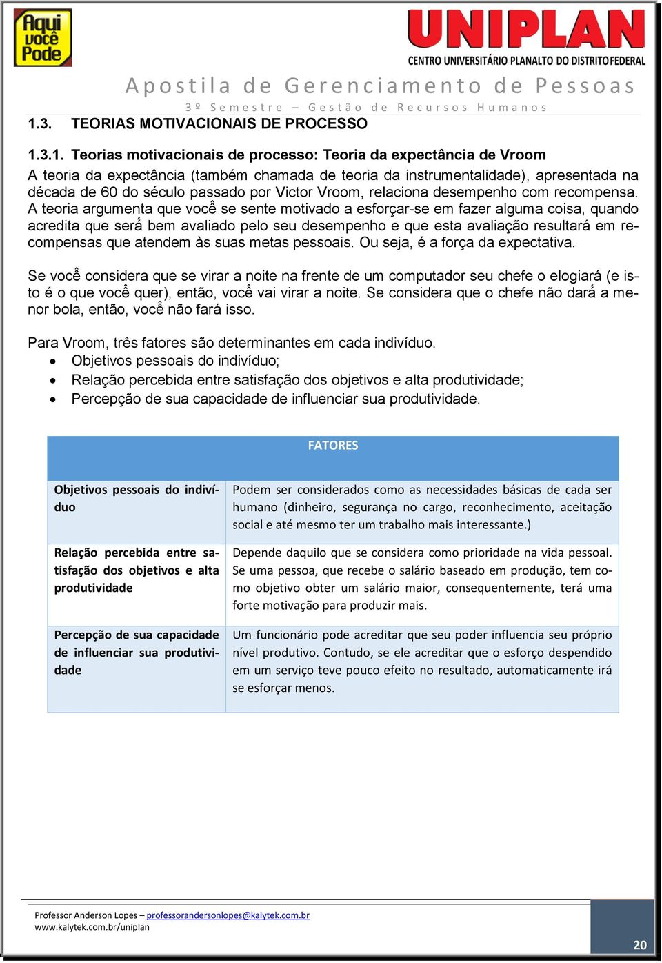 A teoria argumenta que você se sente motivado a esforçar-se em fazer alguma coisa, quando acredita que será em avaliado pelo seu desempenho e que esta avaliação resultara em recompensas que atendem