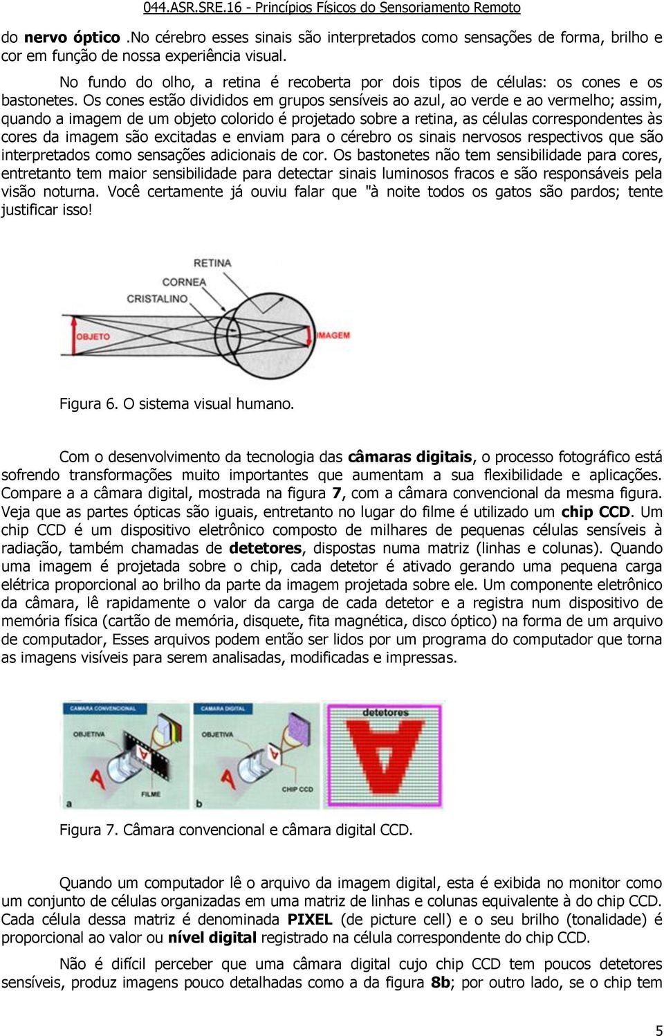 Os cones estão divididos em grupos sensíveis ao azul, ao verde e ao vermelho; assim, quando a imagem de um objeto colorido é projetado sobre a retina, as células correspondentes às cores da imagem