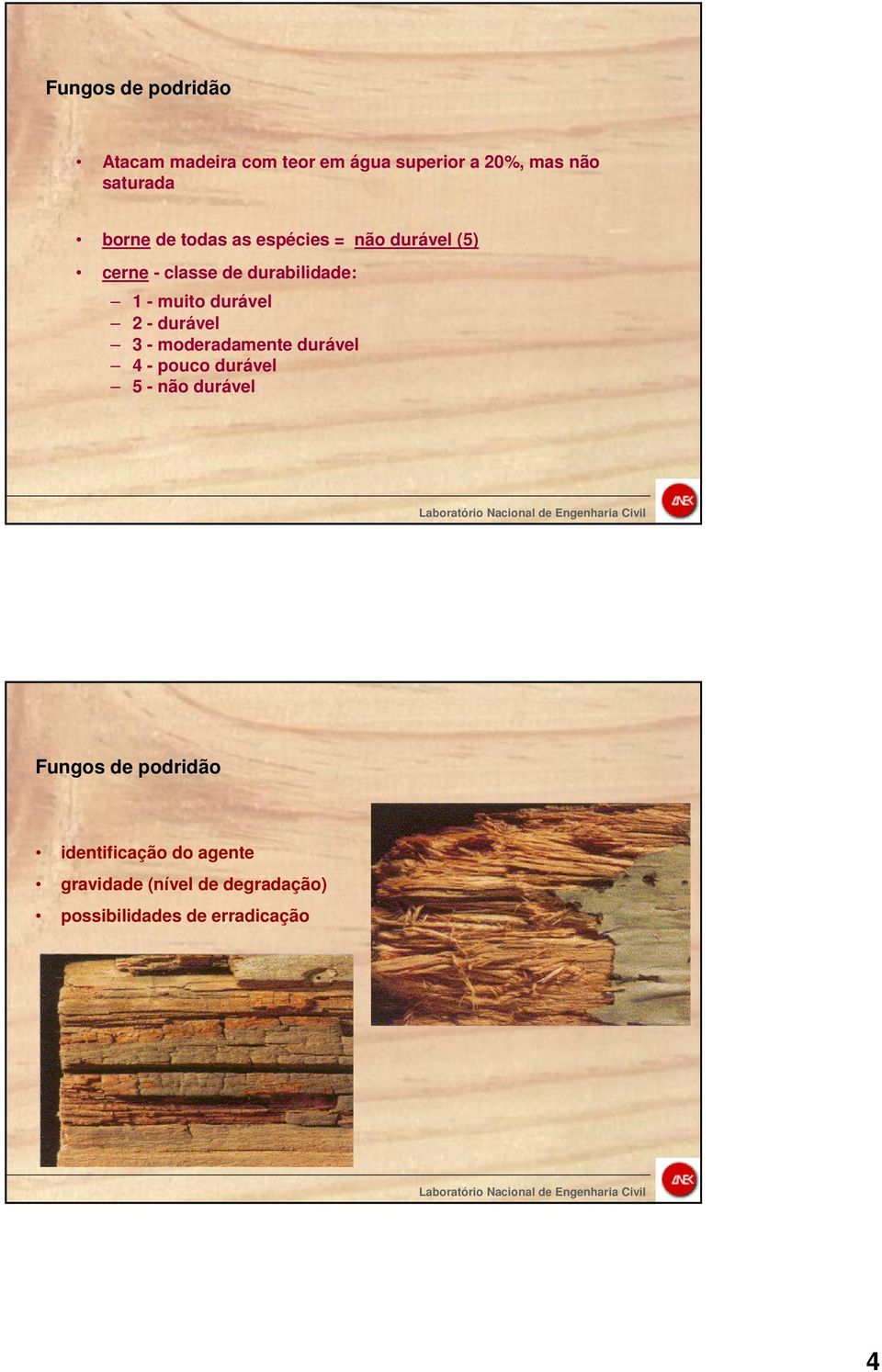 2 - durável 3 - moderadamente durável 4 - pouco durável 5 - não durável Fungos de