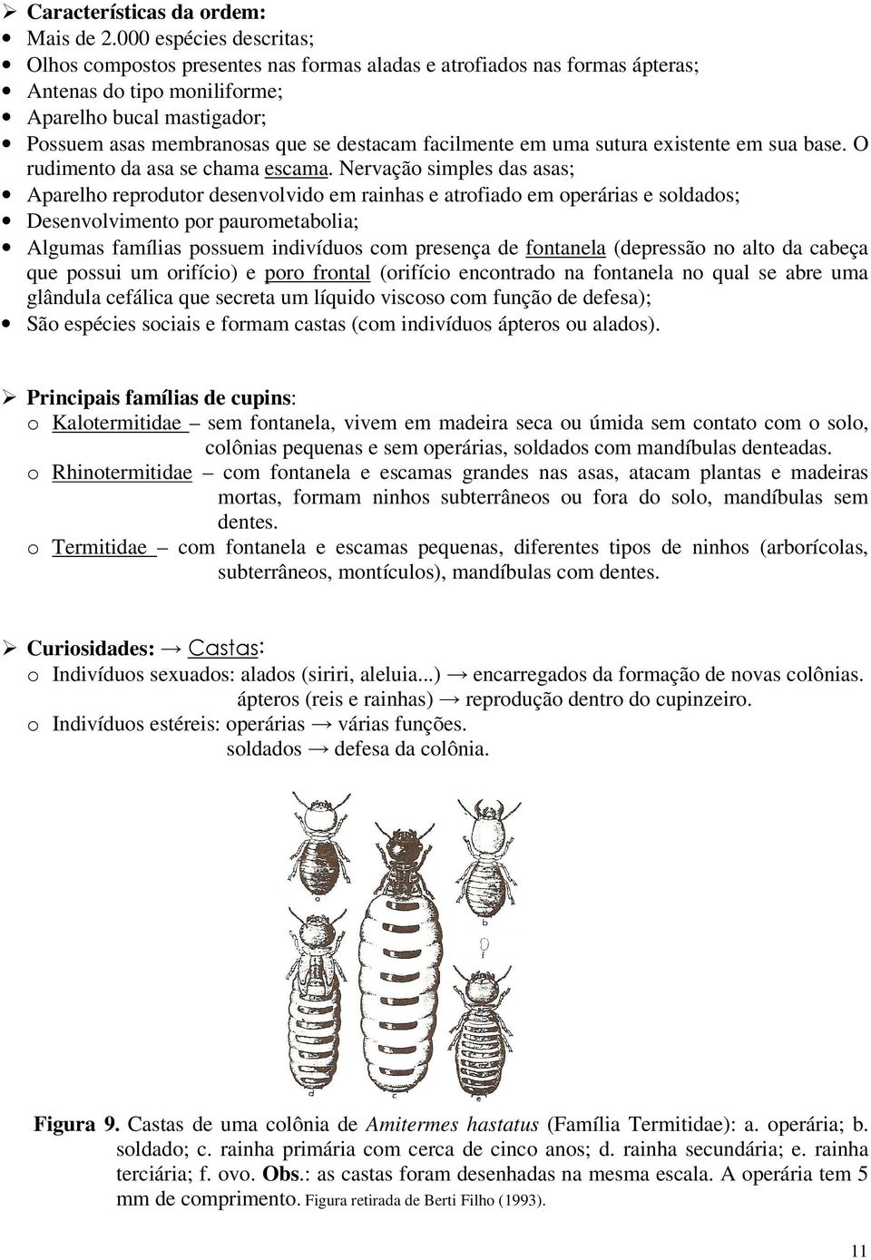 facilmente em uma sutura existente em sua base. O rudimento da asa se chama escama.