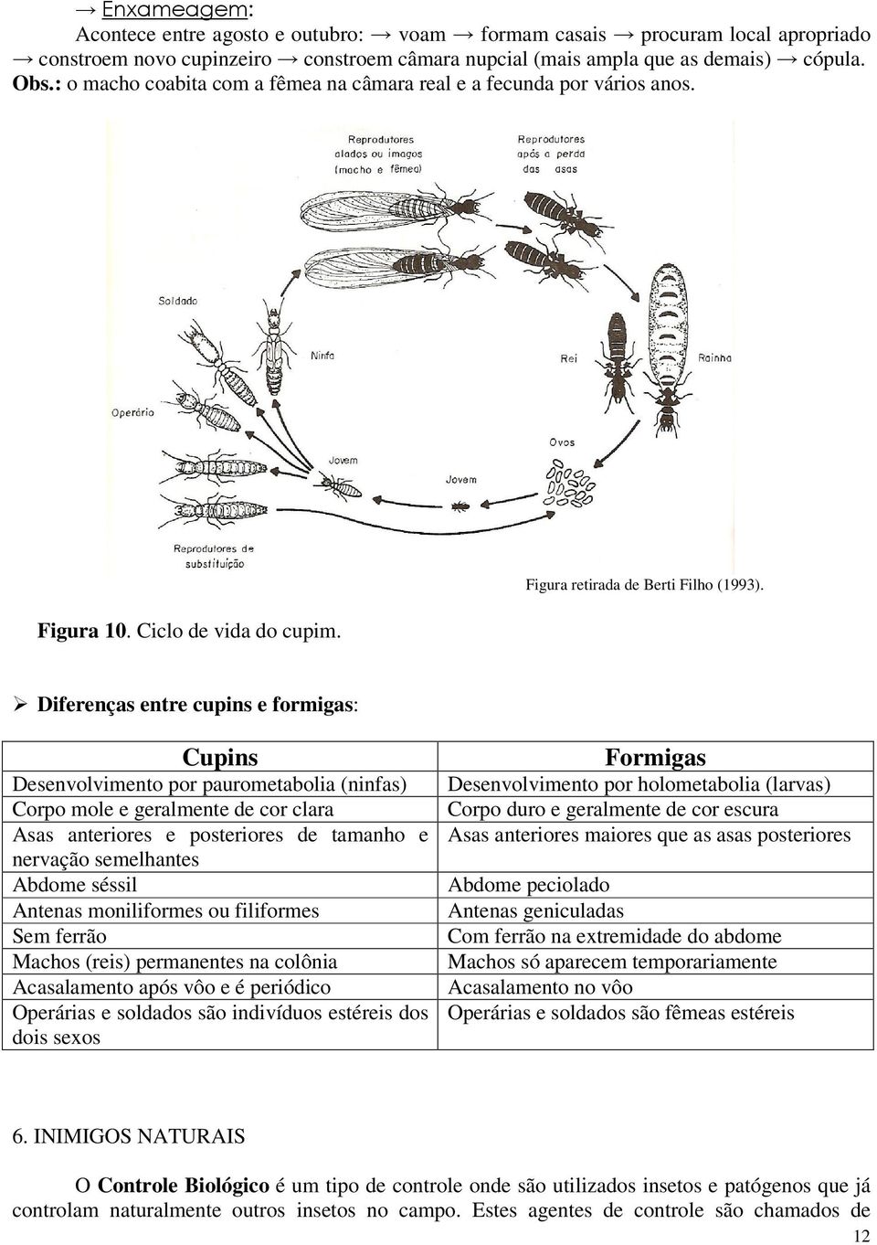 Diferenças entre cupins e formigas: Cupins Desenvolvimento por paurometabolia (ninfas) Corpo mole e geralmente de cor clara Asas anteriores e posteriores de tamanho e nervação semelhantes Abdome
