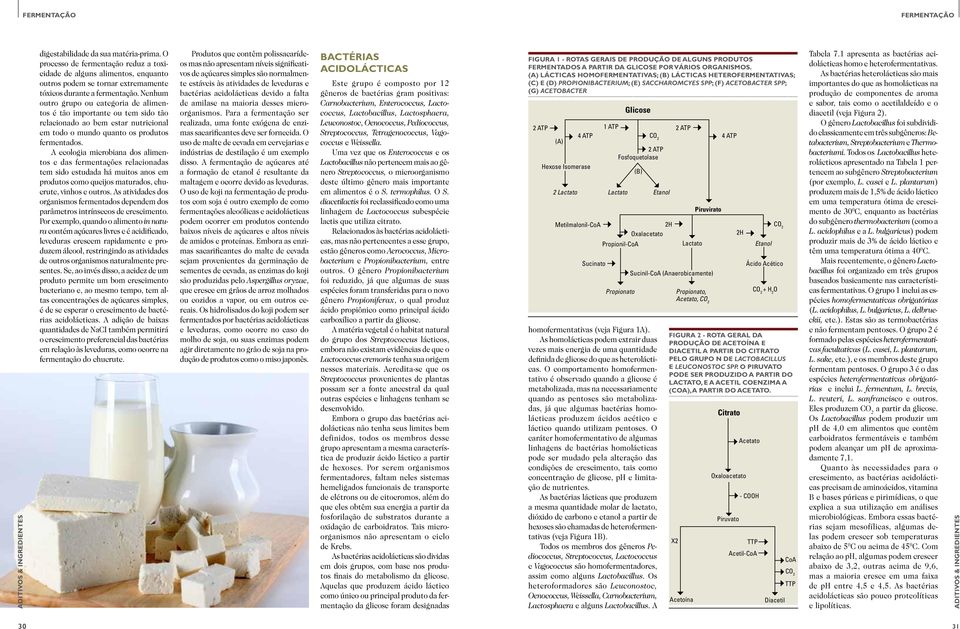 A ecologia microbiana dos alimentos e das fermentações relacionadas tem sido estudada há muitos anos em produtos como queijos maturados, chucrute, vinhos e outros.