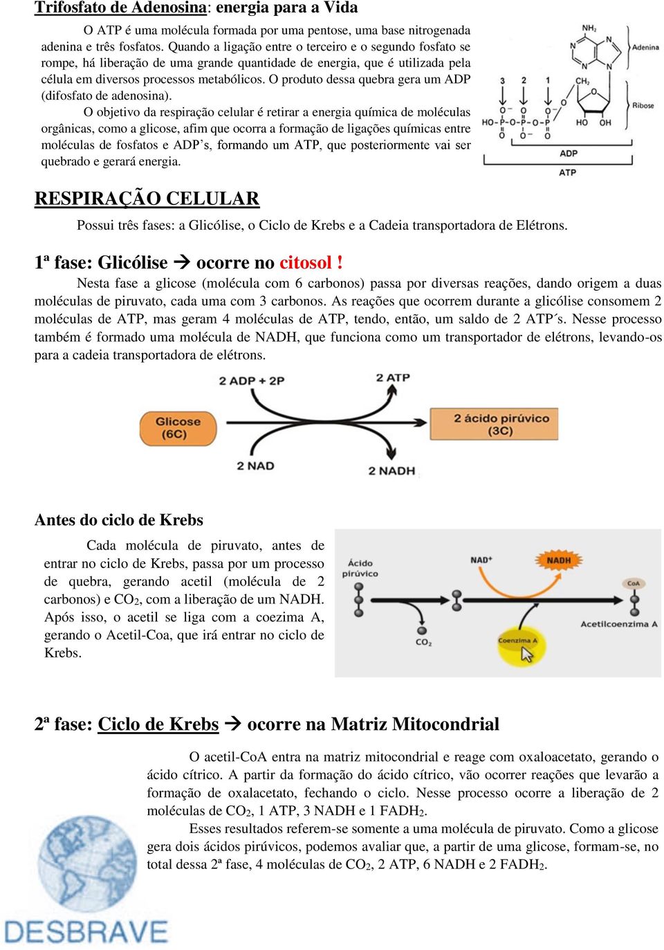 O produto dessa quebra gera um ADP (difosfato de adenosina).