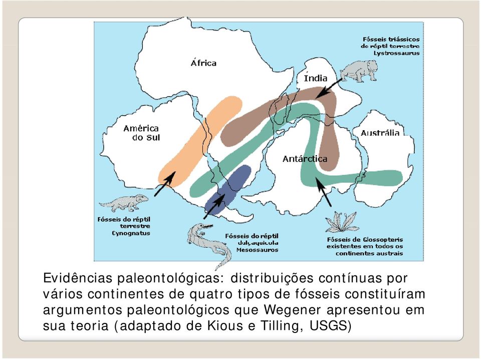 constituíram argumentos paleontológicos que Wegener