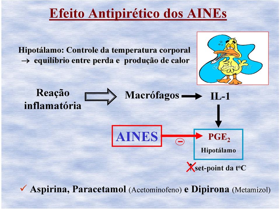 Reação inflamatória Macrófagos IL-1 AINES PGE 2 Hipotálamo