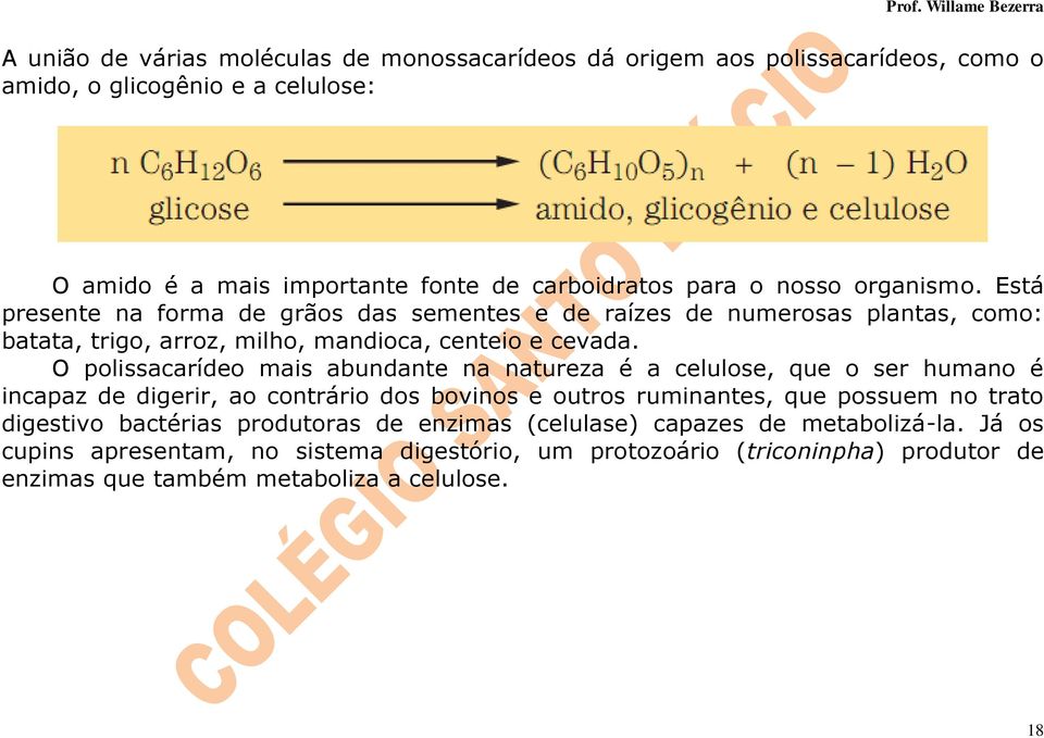 polissacarídeo mais abudate a atureza é a celulose, que o ser humao é icapaz de digerir, ao cotrário dos bovios e outros rumiates, que possuem o trato digestivo