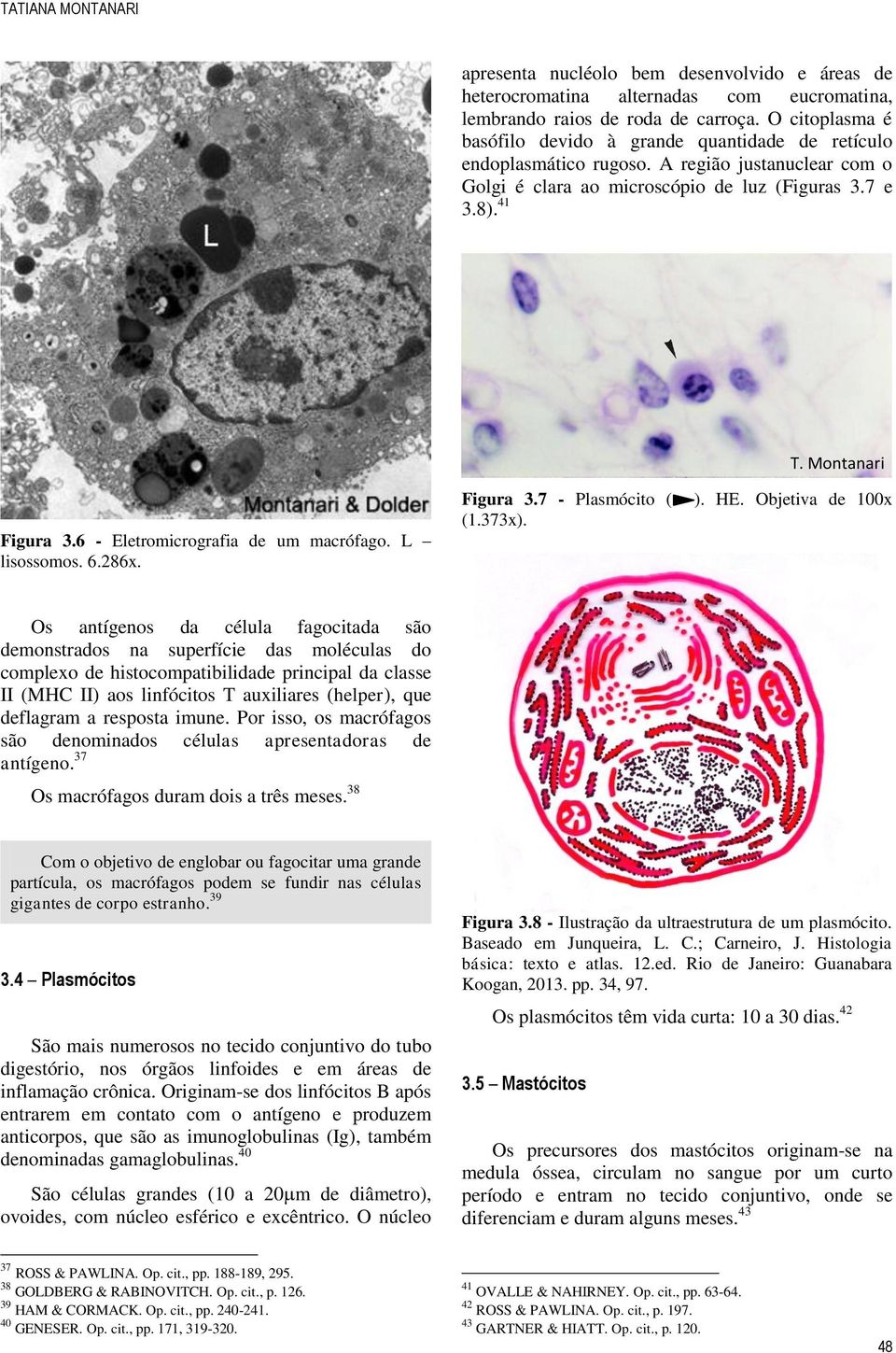 6 - Eletromicrografia de um macrófago. L lisossomos. 6.286x. Figura 3.7 - Plasmócito ( (1.373x). ). HE.