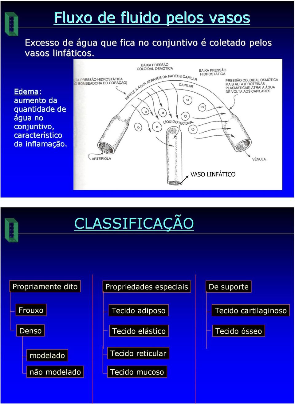 VASO LINFÁTICO CLASSIFICAÇÃO Propriamente dito Propriedades especiais De suporte Frouxo Tecido