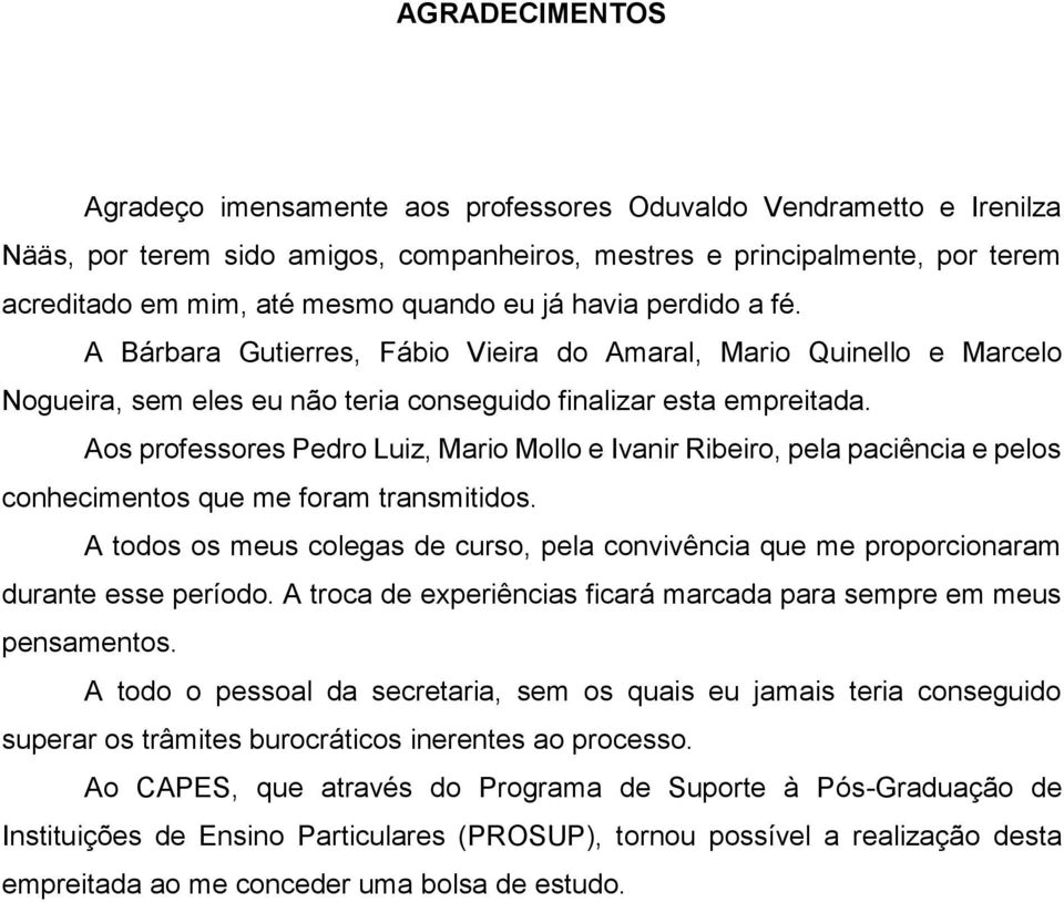 Aos professores Pedro Luiz, Mario Mollo e Ivanir Ribeiro, pela paciência e pelos conhecimentos que me foram transmitidos.