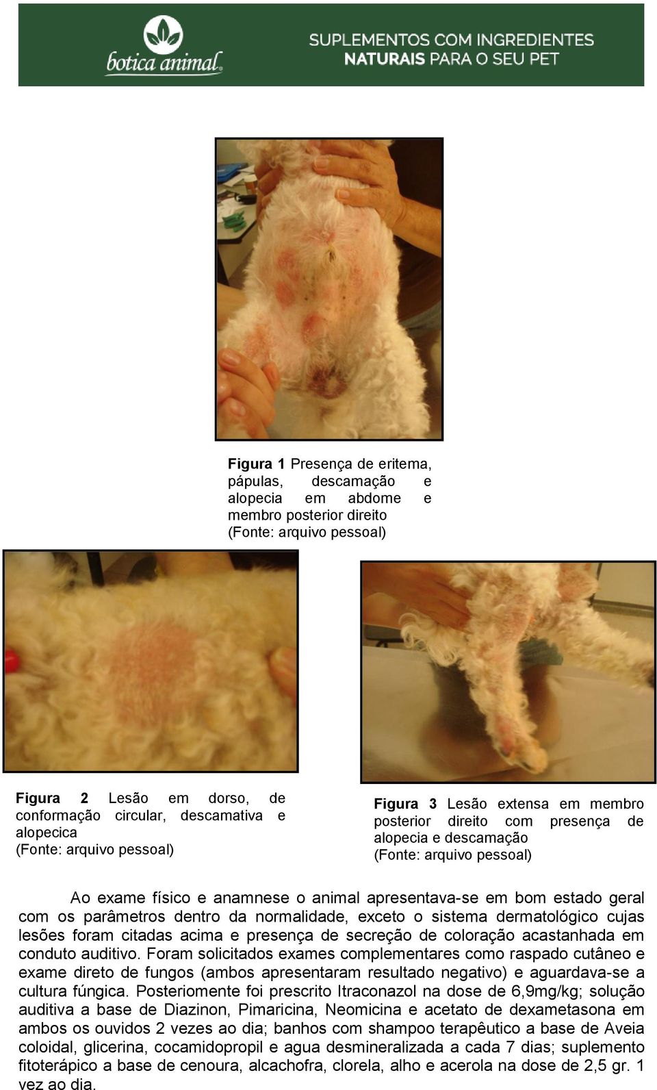 dermatológico cujas lesões foram citadas acima e presença de secreção de coloração acastanhada em conduto auditivo.