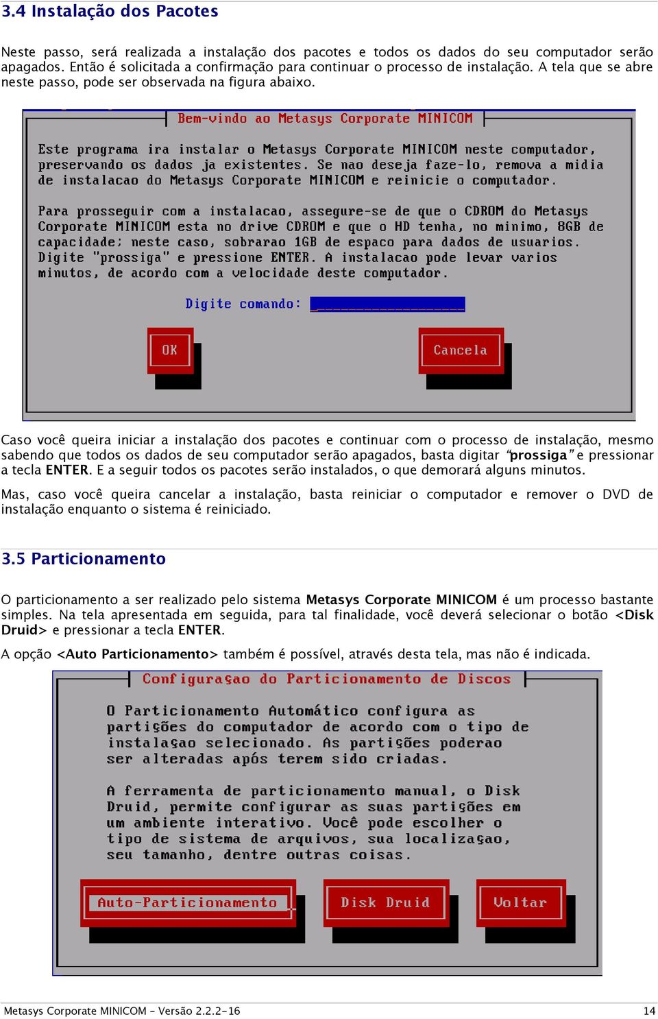 Caso você queira iniciar a instalação dos pacotes e continuar com o processo de instalação, mesmo sabendo que todos os dados de seu computador serão apagados, basta digitar prossiga e pressionar a