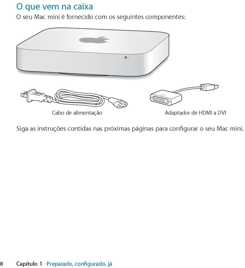 HDMI a DVI Siga as instruções contidas nas próximas páginas