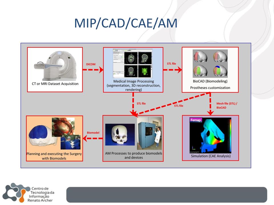 customization STL file STL file Mesh file (STL) / BioCAD Biomodel Planning and