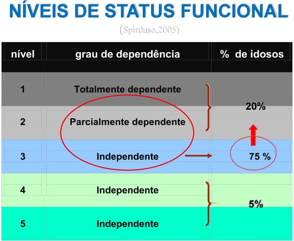 FUNCIONAL