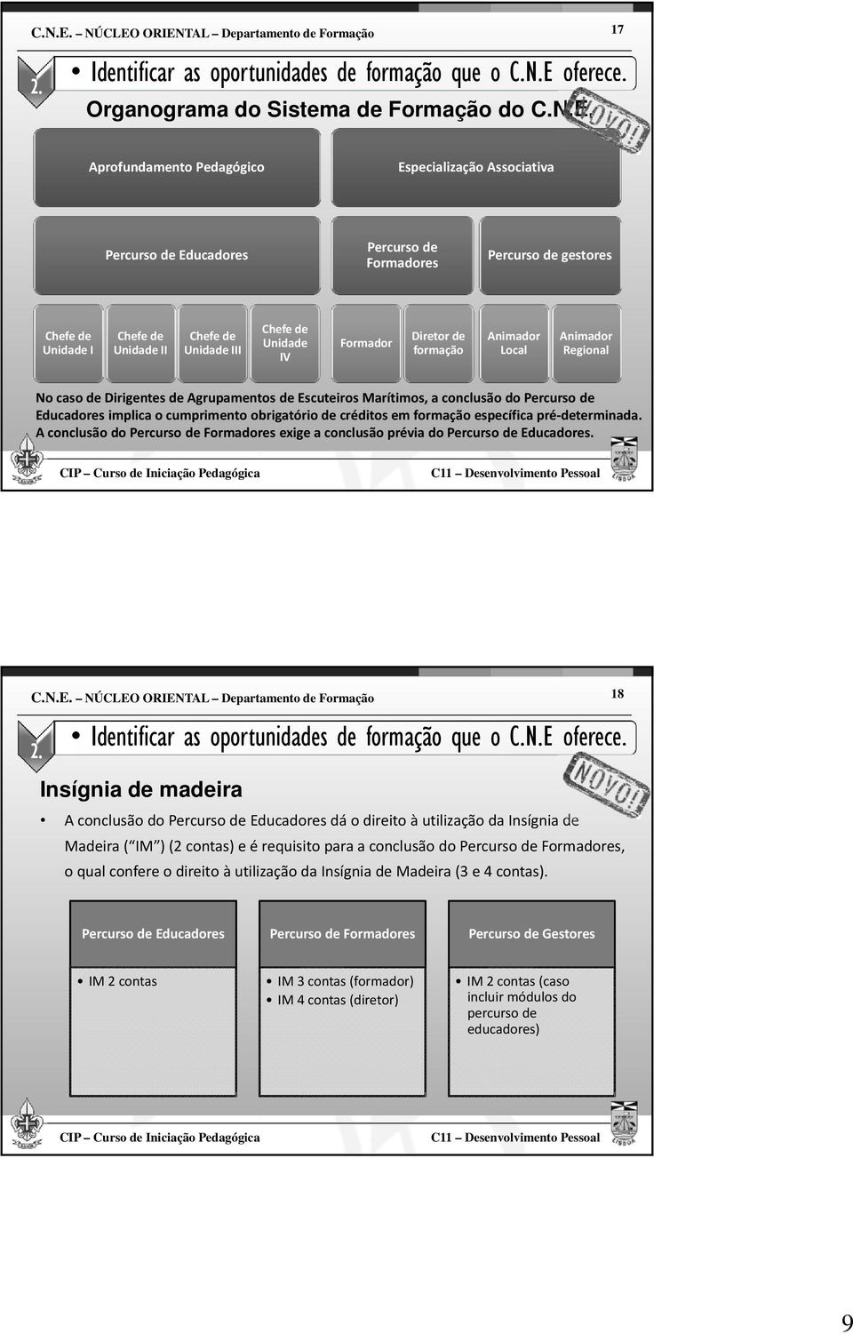 gestores Chefe de Unidade I Chefe de Unidade II Chefe de Unidade III Chefe de Unidade IV Formador Diretor de formação Animador Local Animador Regional No caso de Dirigentes de Agrupamentos de