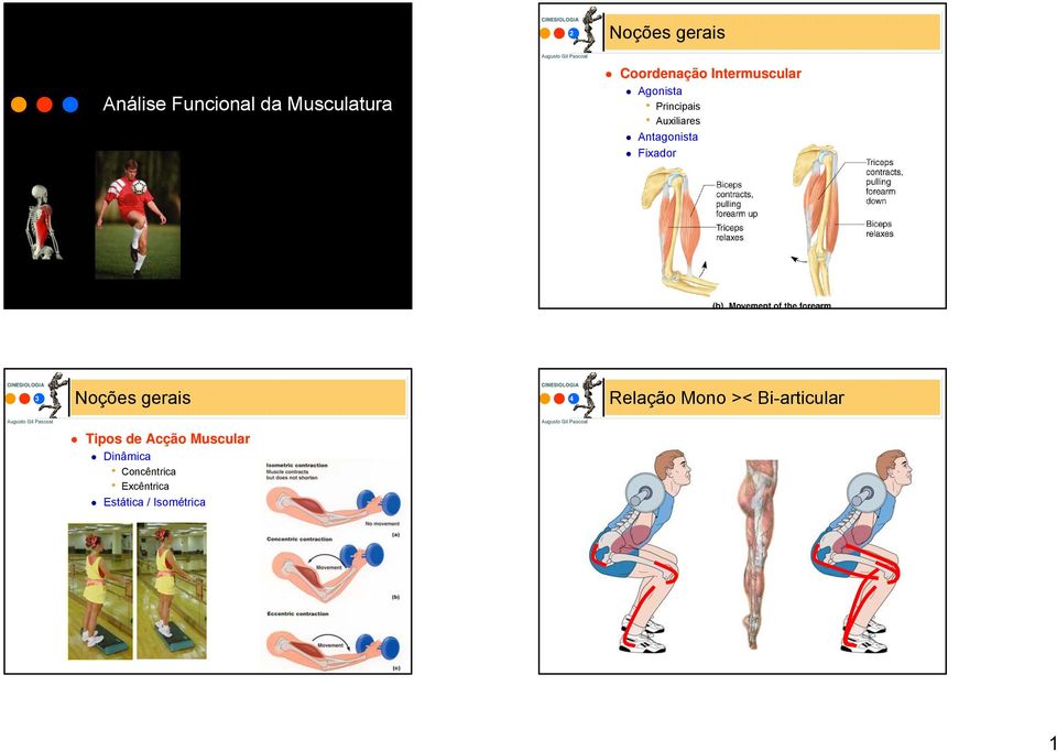 Fixador 3 Noções gerais 4 Relação Mono >< Bi-articular Tipos