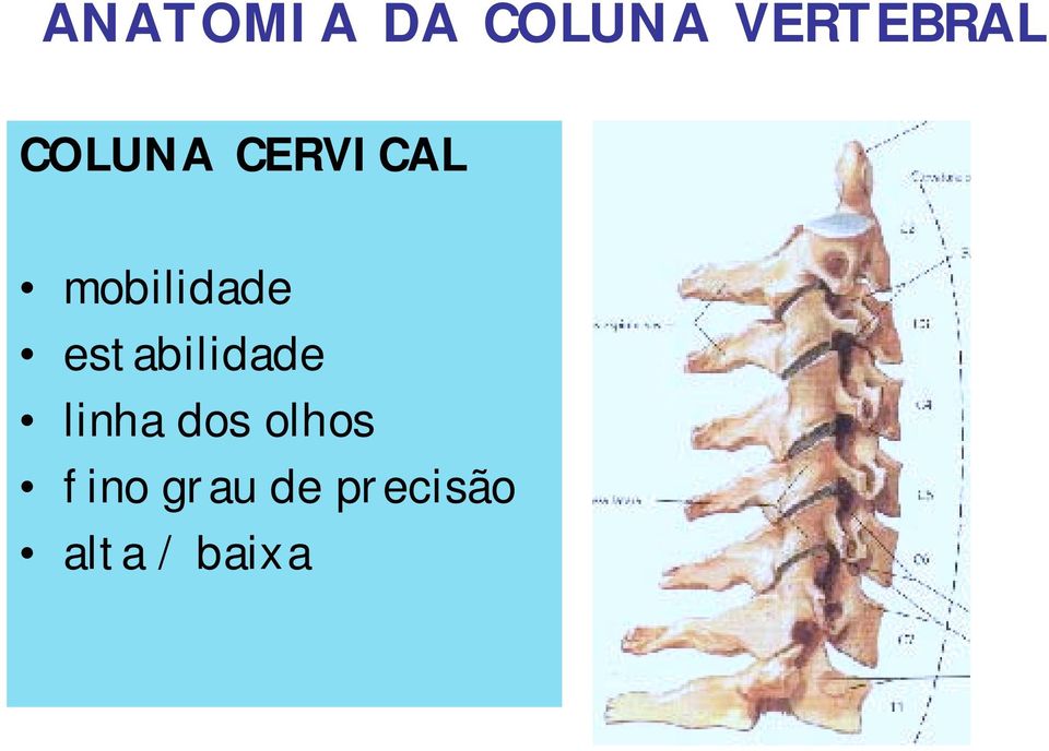 estabilidade linha dos