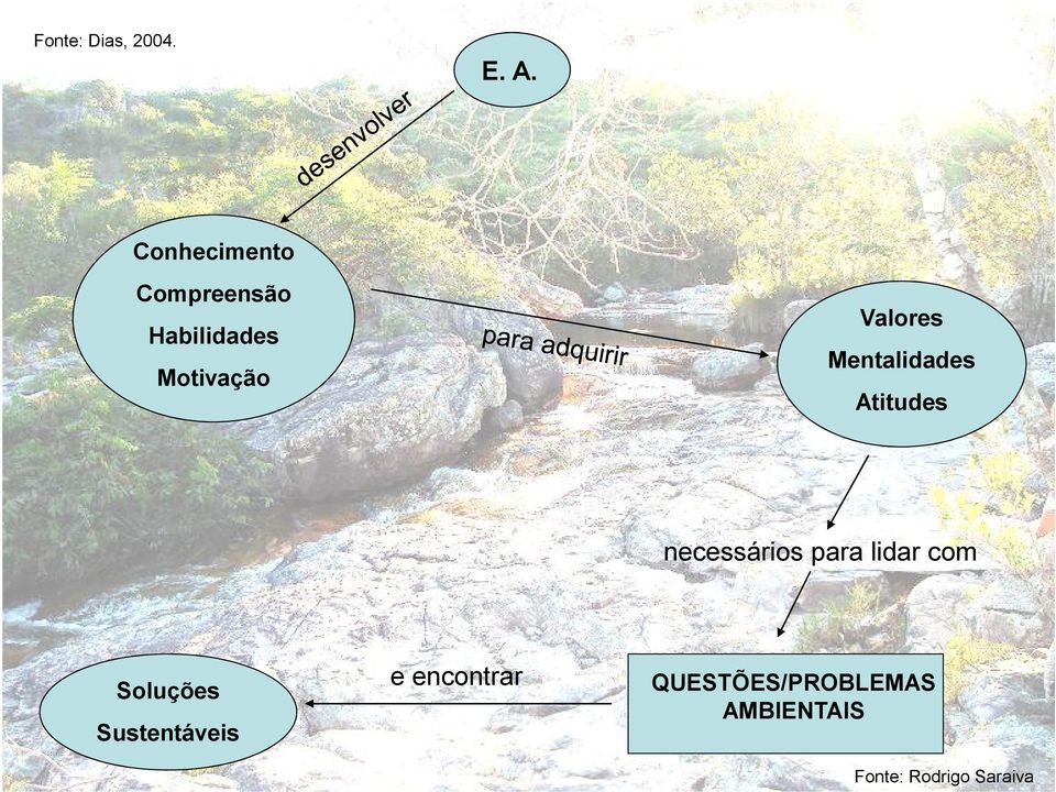 Valores Mentalidades Atitudes necessários para