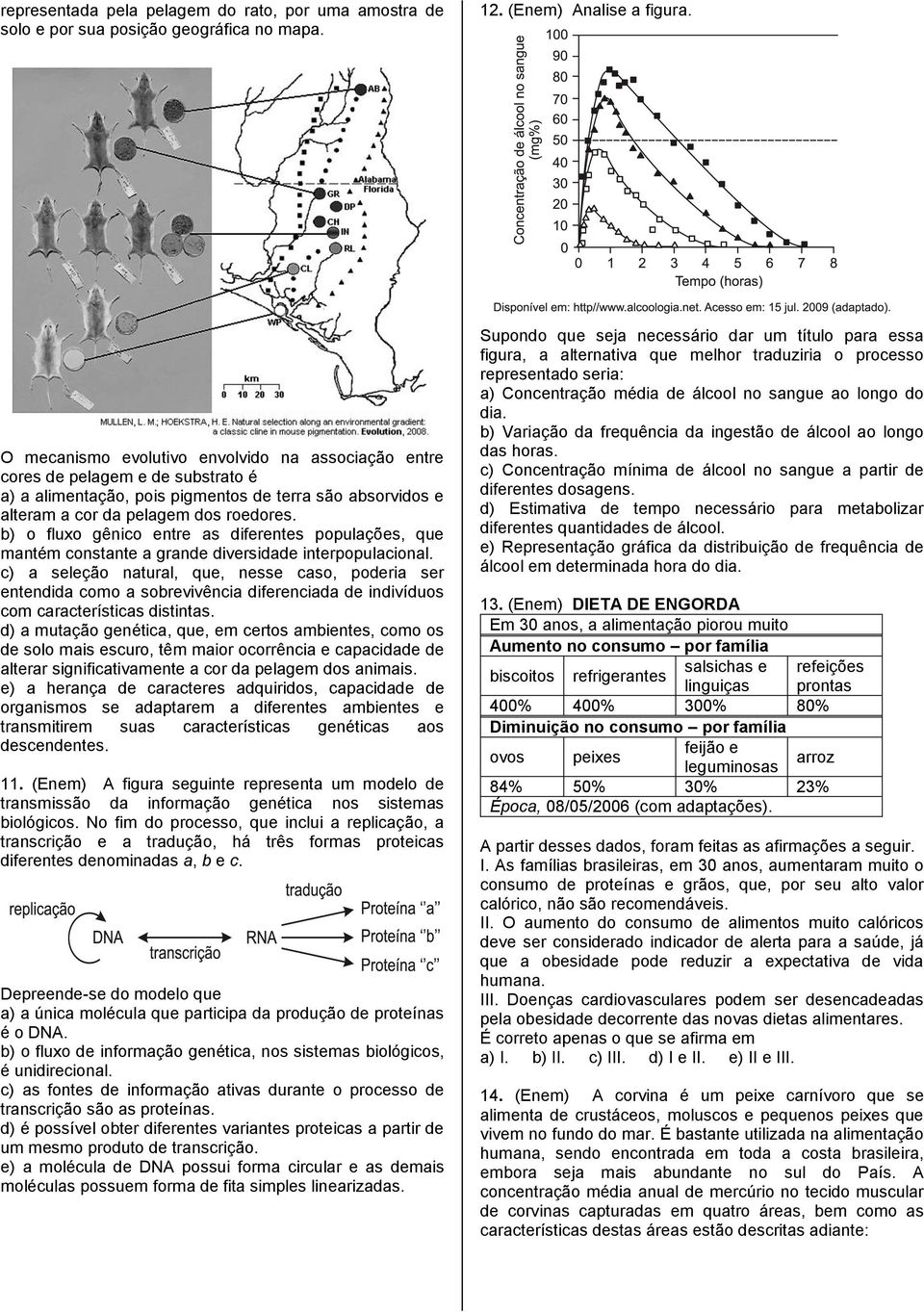 b) o fluxo gênico entre as diferentes populações, que mantém constante a grande diversidade interpopulacional.