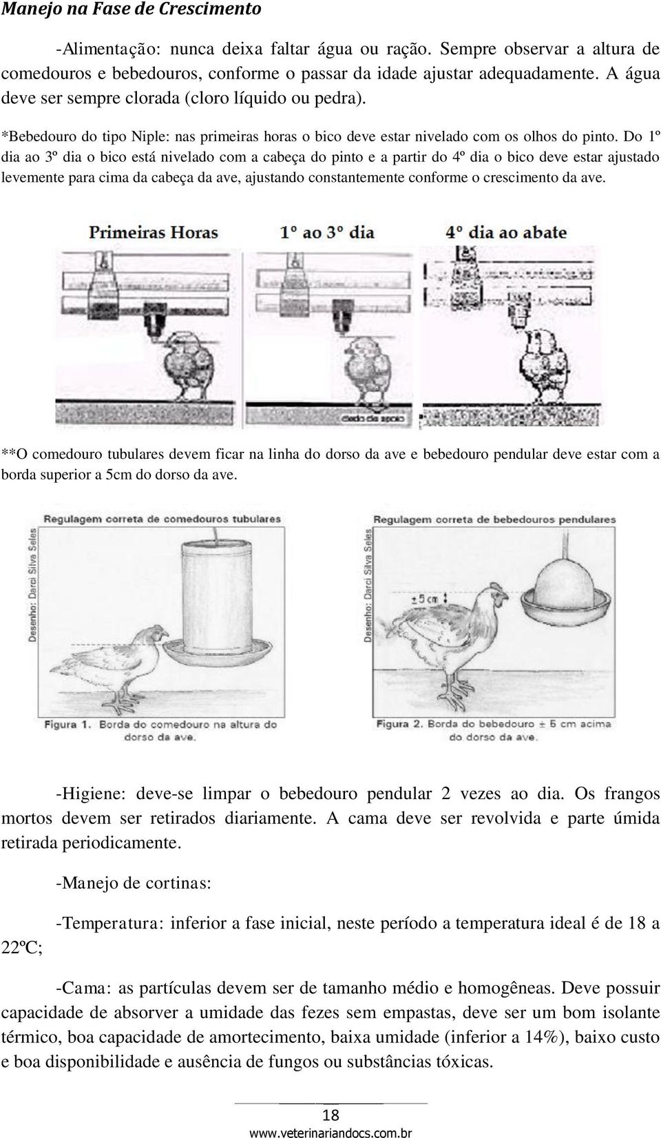 Do 1º dia ao 3º dia o bico está nivelado com a cabeça do pinto e a partir do 4º dia o bico deve estar ajustado levemente para cima da cabeça da ave, ajustando constantemente conforme o crescimento da