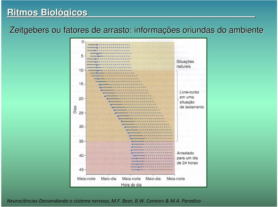 ambiente Neurociências-Desvendando o