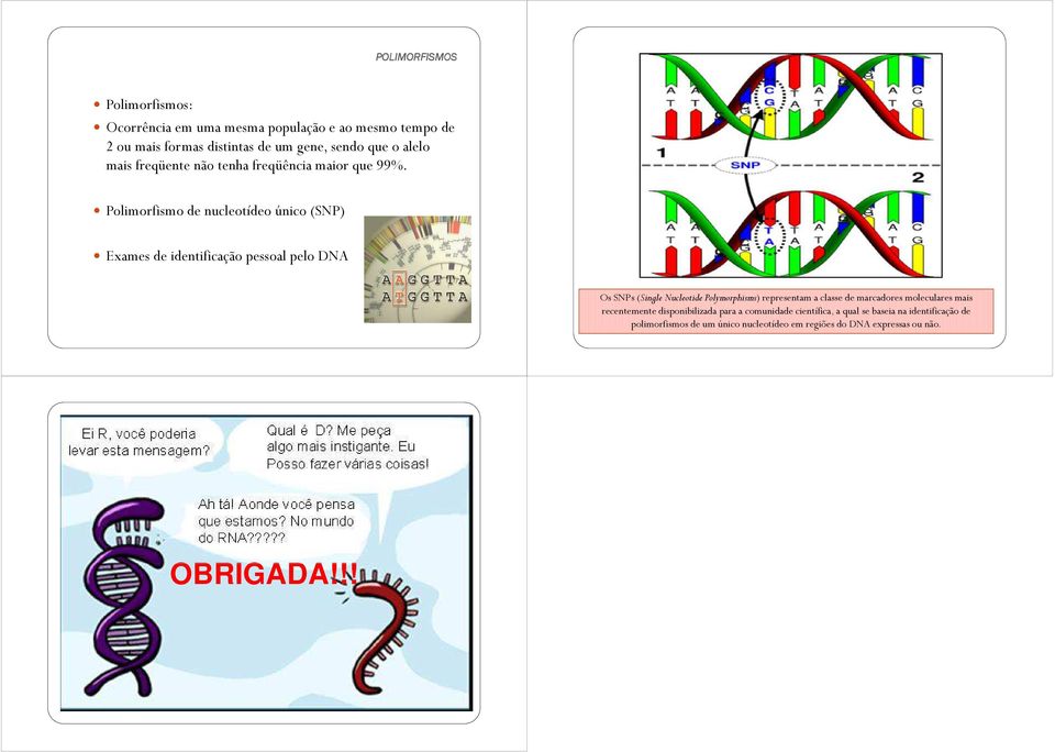 Polimorfismo de nucleotídeo único (SNP) Exames de identificação pessoal pelo DNA Os SNPs(SingleNucleotidePolymorphisms) representam a