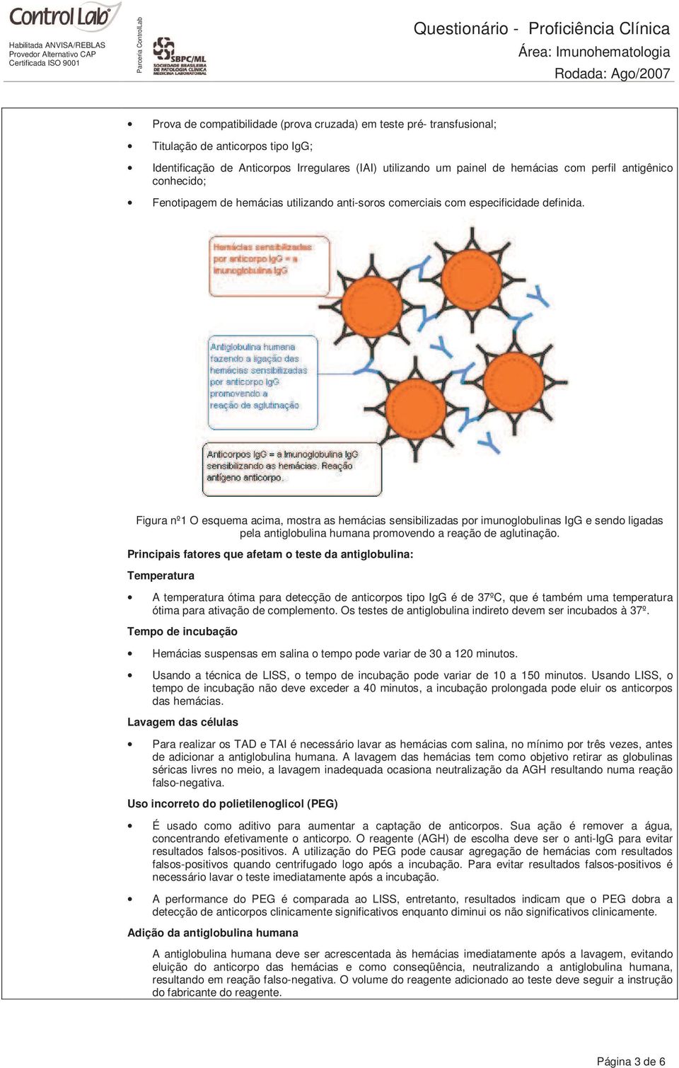 Figura nº1 O esquema acima, mostra as hemácias sensibilizadas por imunoglobulinas IgG e sendo ligadas pela antiglobulina humana promovendo a reação de aglutinação.