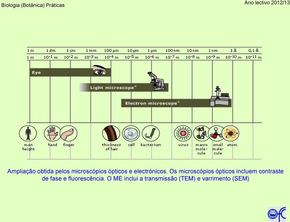 Os microscópios ópticos incluem contraste de