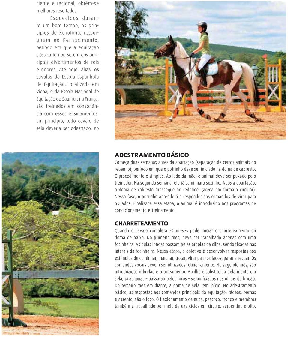 Até hoje, aliás, os cavalos da Escola Espanhola de Equitação, localizada em Viena, e da Escola Nacional de Equitação de Saumur, na França, são treinados em consonância com esses ensinamentos.