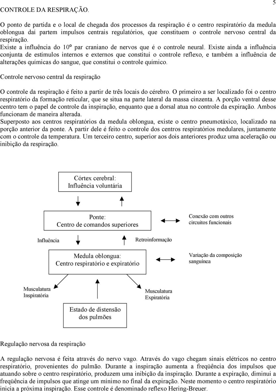 da respiração. Existe a influência do 10º par craniano de nervos que é o controle neural.